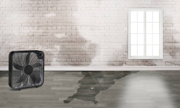 Best Sewage cleanup and water damage restoration  in Glide, OR